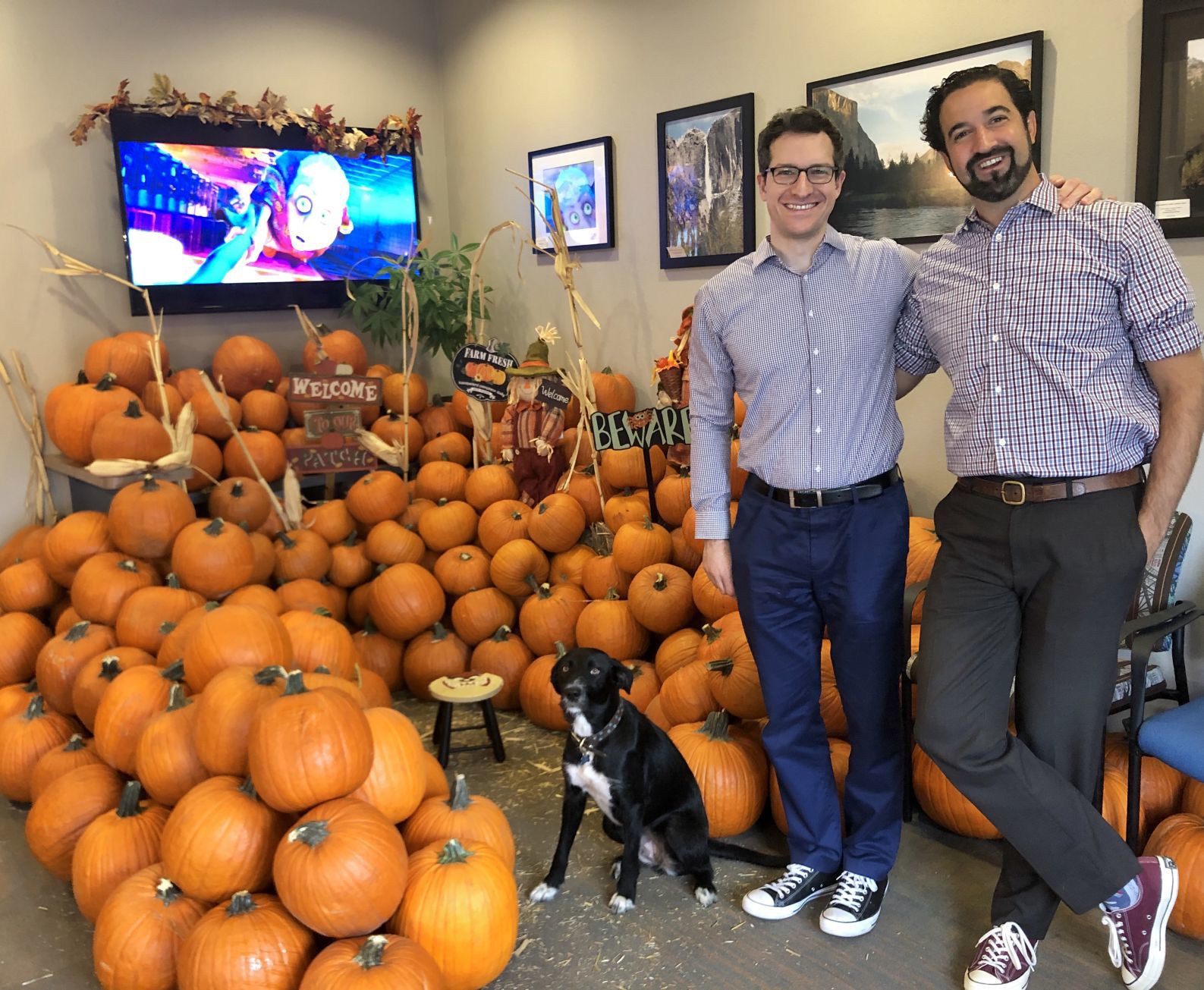 Picking Pumpkins 2019